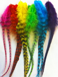 24 Loose Rooster Feathers for jewelry combo pack