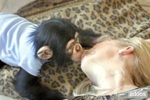 !!!!!!Outstanding looking  female baby chimpanzee for adoption!!!!!