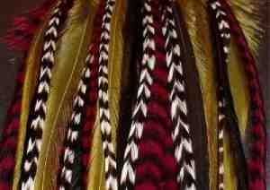 Grizzly rooster Feather Hair Extensions and earings
