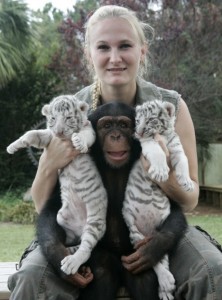 Free adoption Capuchin chimpanzee &amp; marmosets monkeys