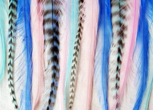eurohackle grizzly rooster feathers