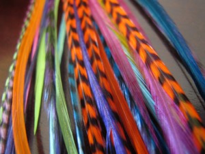 Natural Thin Long Grizzly Rooster Feathers