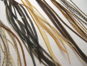 grizzly rooster feathers