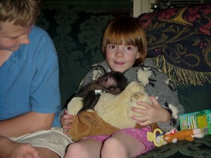 capuchin monkey need a home urgently