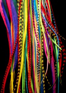 Grizzly Rooster Feathers at Affordable Prices