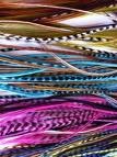 Beautiful Grizzly Rooster Feathers for sale