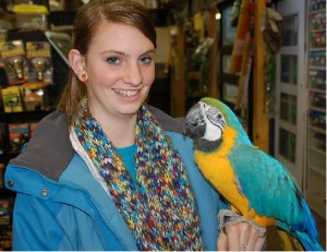 Charming Blue and gold macaw for $50 only!!!!