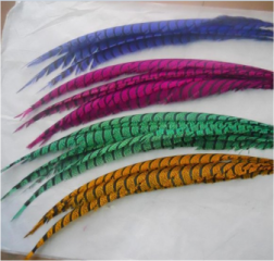  Mixed colors Real feather hair extensions, this hot new hair trend has already hit Hollywood. 