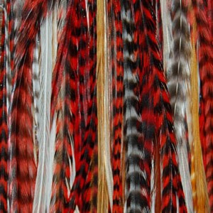 GRIZZLY ROOSTER FEATHERS AND HAIR EXTENSIONS FOR SALE