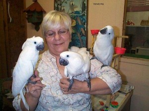 WELL TRAINED cockatoo PARROTS FOR A GOOD HOME,