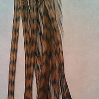 coloured and long rooster feathers for sale