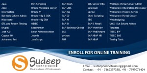 SAP MM Training institute in Hyderabad
