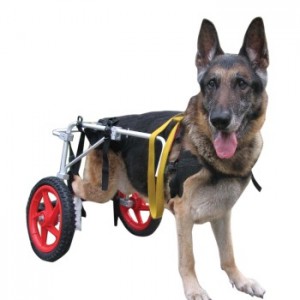 Best Friend Mobility Dog Wheelchair