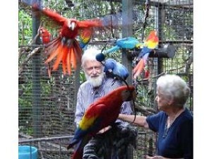Parrots, Macaw Birds and fertile Eggs