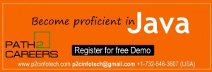 Java Online Training and Placement