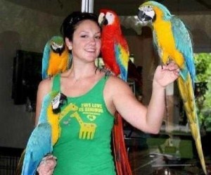 10 Months Blue &amp; Gold Macaw w/ Cage