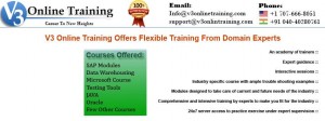 V3 Online Training - IT / Software Online Training