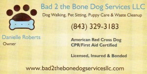 Need Professional Pet Services? Bad 2 the Bone Dog Services LLC Can Help!