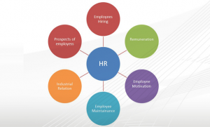HR Tools For Small Business