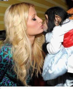 &quot;&quot;Baby pet chimpanzee monkeys for sale