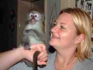 My husband and i i give this cute white baby face capuchibn monkey for adoption. ((wendy.pet@blumail.org))