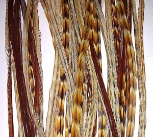 we supply grizzly rooster feather for hair extension and decoration