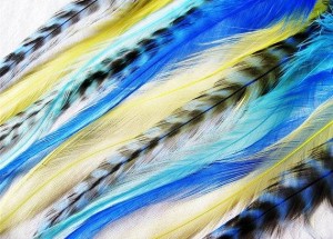 Grizzly rooster Feather Hair Extensions and earings