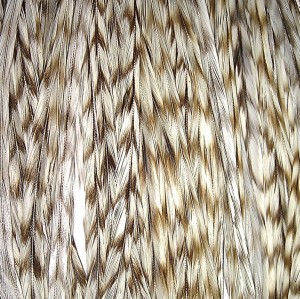 Beautiful grizzly rooster feathers for hair extension
