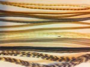 2011American real grizzly rooster feather for hair extentions