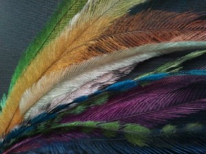 Natural Grizzly rooster feathers for sale