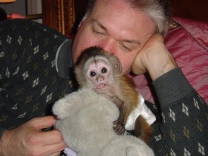 Adorable Tamed Female Bay Capuchin Monkey For Adoption