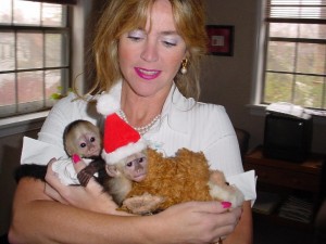 male and female monkey babies .