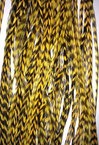 Quality Grizzly Rooster feathers for hair extension