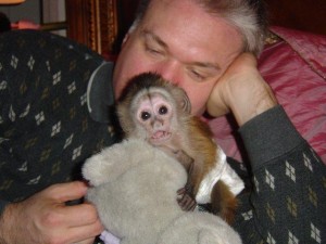 Charming female baby capuchin monkey for re-homing