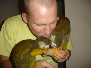 squirrel monkey for re homing now ready