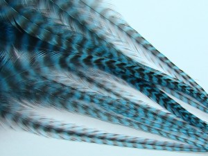 Grizzly rooster feather