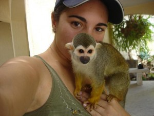 Cute Male and female Capuchin Monkey for adoption ,