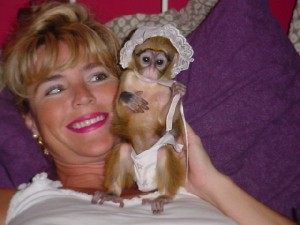 We have an adorable baby Capuchin monkey to give out for adoption,........