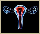 National Transvaginal Mesh Attorneys Law Firm
