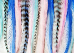 eurohackle grizzly rooster feathers