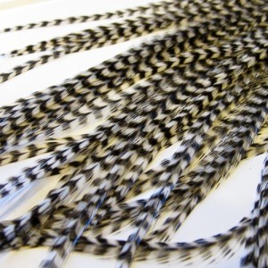 High Quality Grizzly Rooster  Feather extensions