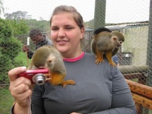 two baby squirrel monkeys available for adoption 