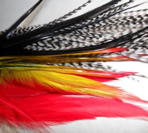 Grizzy Roosters Feathers 