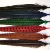 Bright colored grizzly rooster feathers for sale at very affordable prices