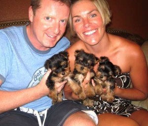 Amazing Yorkie Puppies For Adoption Now