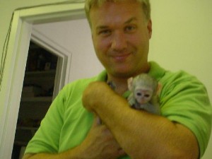 Charming baby capuchin monkeys