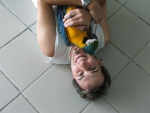 !cute three blue and gold macaw for adoption!