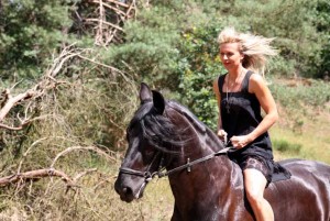 CUTE MALE FRISIAN HORSE FOR ADOPTION