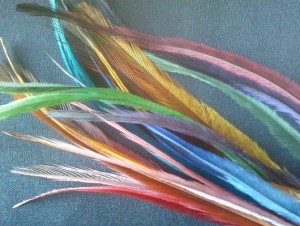 We are manufacture and supplier of all type of feathers