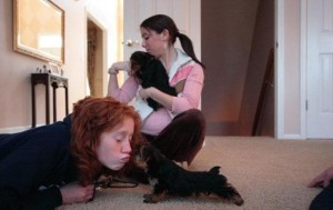 Tiny T-cup Yorkie puppies
